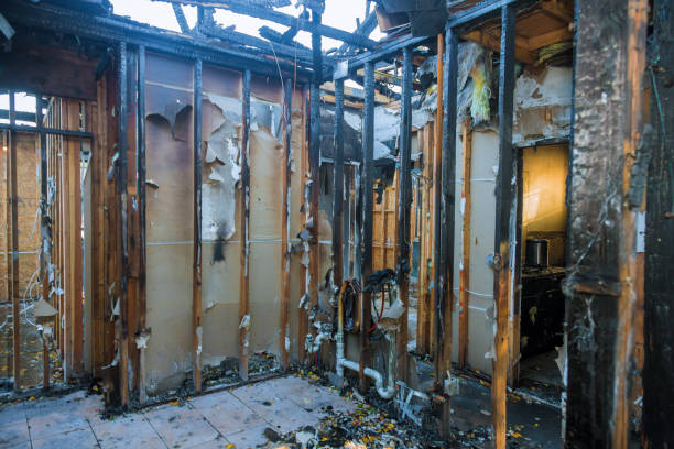 Professional Odor Removal technician working in Fulton, TX