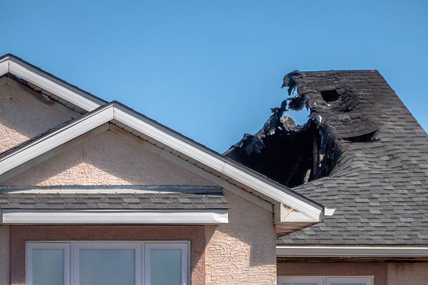 Top rated local Odor Removal specialists in Fulton, TX